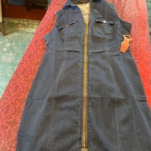 Womens Curvy Denim Dress